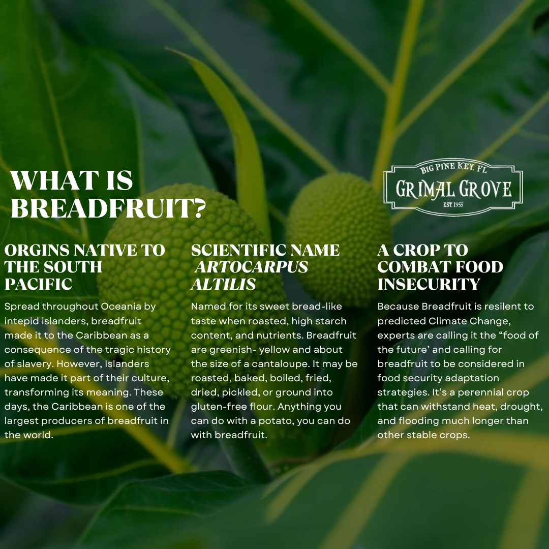 Breadfruit Box