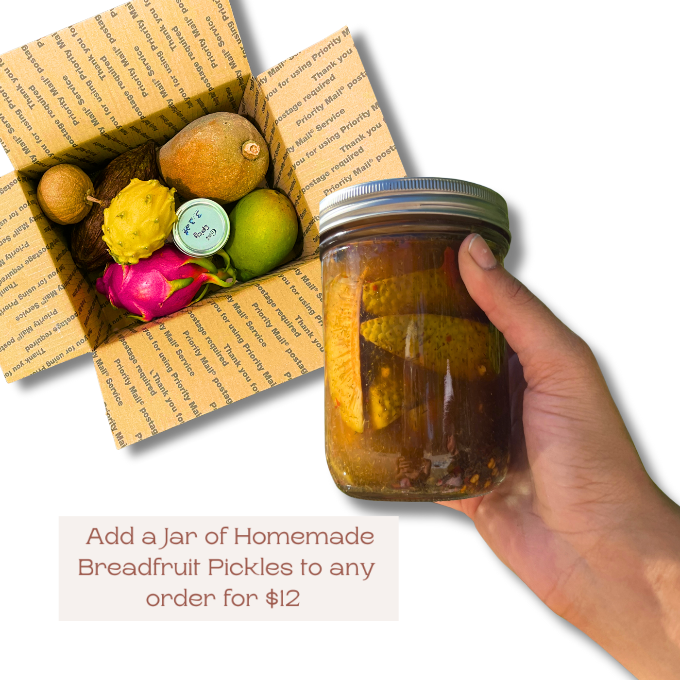 Homemade Pickled Breadfruit Pickles - 16oz jar