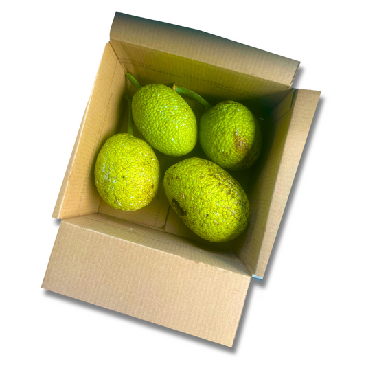 Breadfruit Box