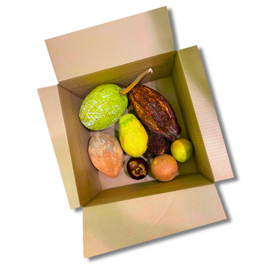 Grimal Tour Box - Large