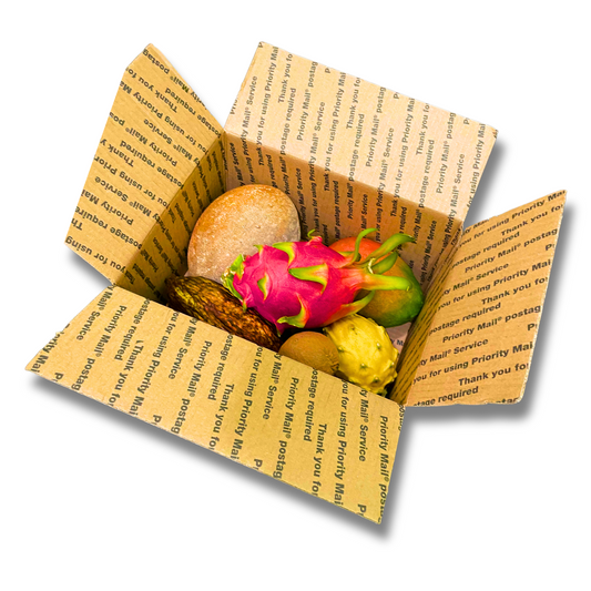 Grimal Tour Box - Medium