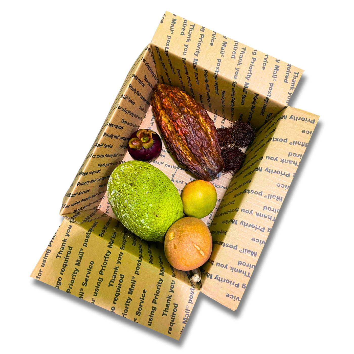 Grimal Tour Box - Medium